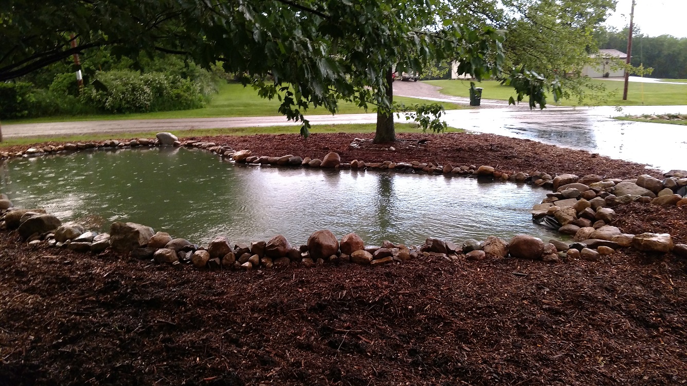Attached picture pond 1.jpg
